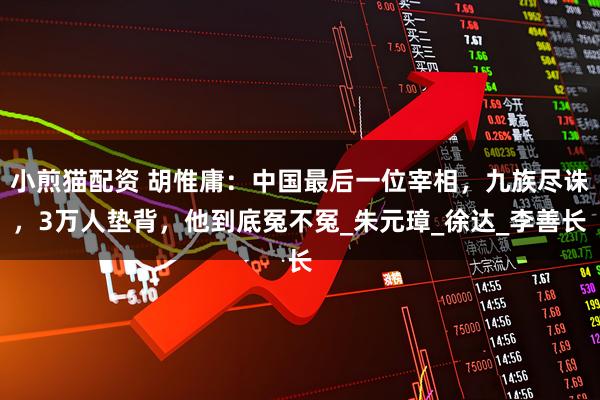 小煎猫配资 胡惟庸：中国最后一位宰相，九族尽诛，3万人垫背，他到底冤不冤_朱元璋_徐达_李善长