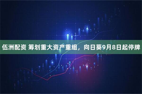 伍洲配资 筹划重大资产重组，向日葵9月8日起停牌